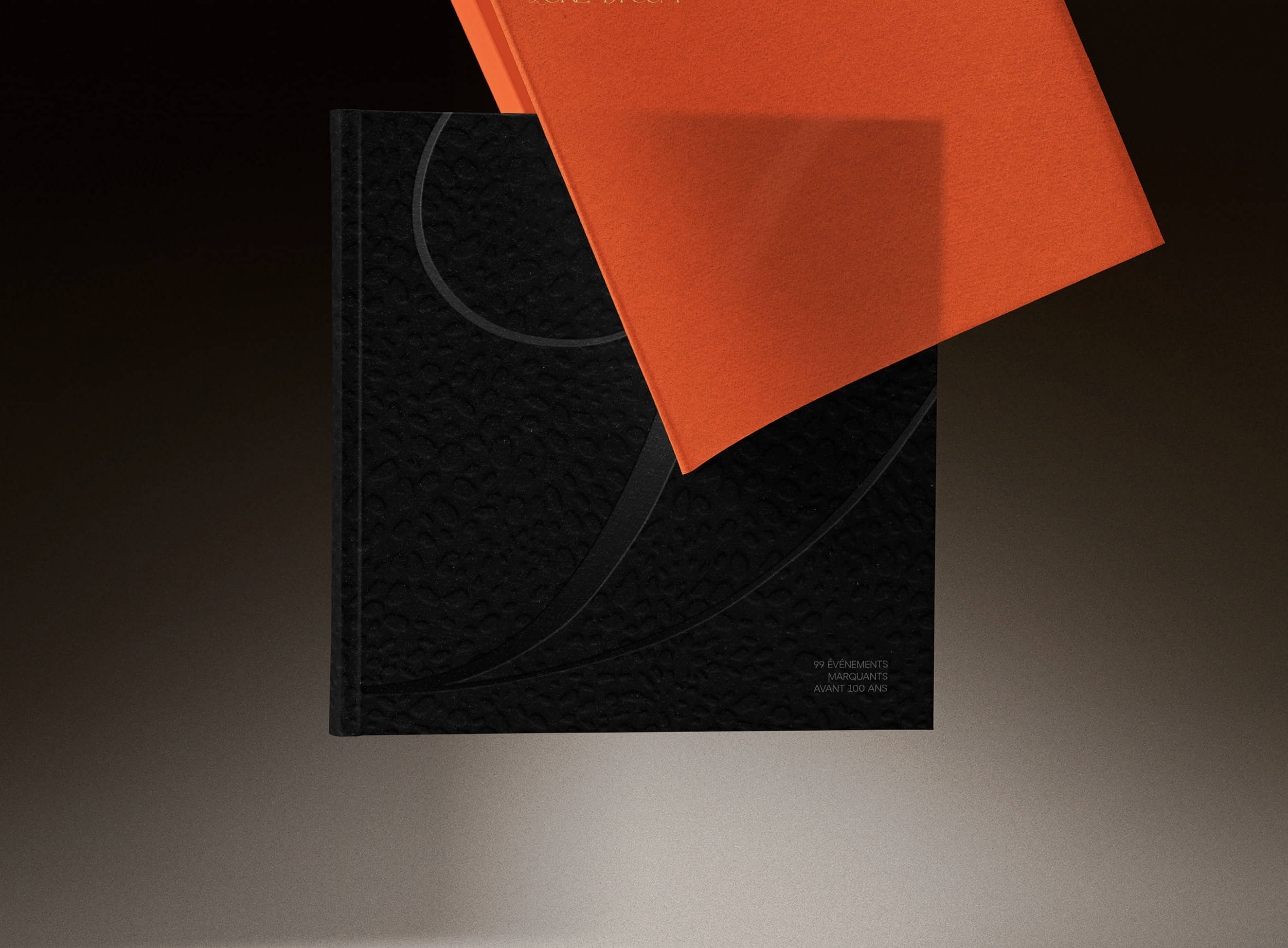 projet de design éditorial pour livre d’art avec fabrication sur mesure gaufrage et marquage à chaud